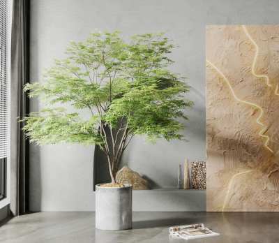 现代枫树盆栽3D模型下载